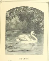 An illustration from Dawn to Daylight: or, Gleams from the poets of twelve centuries. With above two hundred illustrations (1874)