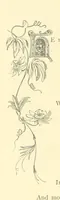 An illustration from Dawn to Daylight: or, Gleams from the poets of twelve centuries. With above two hundred illustrations (1874)