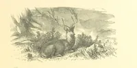 An illustration from Dawn to Daylight: or, Gleams from the poets of twelve centuries. With above two hundred illustrations (1874)