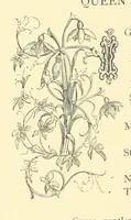 An illustration from Dawn to Daylight: or, Gleams from the poets of twelve centuries. With above two hundred illustrations (1874)