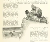 An illustration from The Life and Strange Surprising Adventures of Robinson Crusoe ... Illustrated (1895)