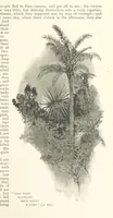 An illustration from The Life and Strange Surprising Adventures of Robinson Crusoe ... Illustrated (1895)