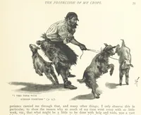 An illustration from The Life and Strange Surprising Adventures of Robinson Crusoe ... Illustrated (1895)