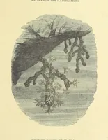 An illustration from The Adventures of Robinson Crusoe ... Newly edited after the original editions. With twenty illustrations by Kauffman. [Parts 1 and 2, abridged. With an introduction signed: S. R. B (1884)
