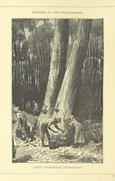 An illustration from The Adventures of Robinson Crusoe ... Newly edited after the original editions. With twenty illustrations by Kauffman. [Parts 1 and 2, abridged. With an introduction signed: S. R. B (1884)
