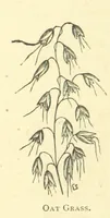 An illustration from The Adventures of Robinson Crusoe ... Newly edited after the original editions. With twenty illustrations by Kauffman. [Parts 1 and 2, abridged. With an introduction signed: S. R. B (1884)