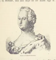 An illustration from Danmarks, Norges og Sverigs Historie, populært fremstillet efter de bedste trykte Kilder [by N. Bache] ... Med 253 Illustrationer i Træsnit (1867)