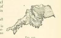 An illustration from Object Lessons in Geography for Standards I. II. & III (1899)