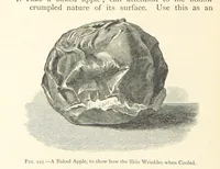 An illustration from Object Lessons in Geography for Standards I. II. & III (1899)