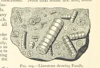 An illustration from Object Lessons in Geography for Standards I. II. & III (1899)