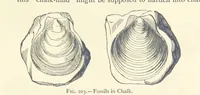 An illustration from Object Lessons in Geography for Standards I. II. & III (1899)