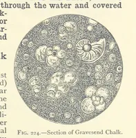 An illustration from Object Lessons in Geography for Standards I. II. & III (1899)