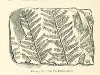 An illustration from Object Lessons in Geography for Standards I. II. & III (1899)