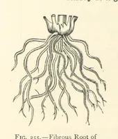 An illustration from Object Lessons in Geography for Standards I. II. & III (1899)