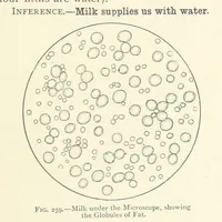 An illustration from Object Lessons in Geography for Standards I. II. & III (1899)