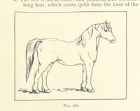 An illustration from Object Lessons in Geography for Standards I. II. & III (1899)