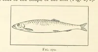 An illustration from Object Lessons in Geography for Standards I. II. & III (1899)