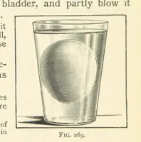 An illustration from Object Lessons in Geography for Standards I. II. & III (1899)