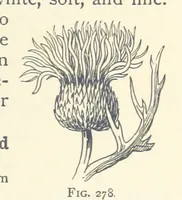 An illustration from Object Lessons in Geography for Standards I. II. & III (1899)