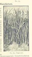 An illustration from Object Lessons in Geography for Standards I. II. & III (1899)
