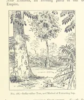 An illustration from Object Lessons in Geography for Standards I. II. & III (1899)