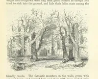 An illustration from The Letters of Charles Dickens. Edited by his sister-in-law and his eldest daughter (1893)