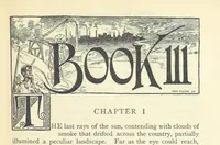 Picture 18 of 40 from Sybil ... Illustrated by F. Pegram. With an introduction by H. D. Traill (1895), leaf 181