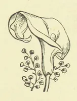 An illustration from Her Majesty's Tower. ... Seventh edition, etc (1885)