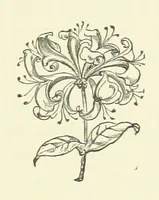 An illustration from Her Majesty's Tower. ... Seventh edition, etc (1885)