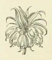 An illustration from Her Majesty's Tower. ... Seventh edition, etc (1885)