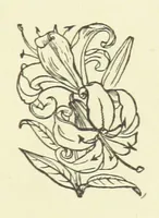 An illustration from Her Majesty's Tower. ... Seventh edition, etc (1885)