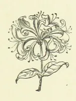 An illustration from Her Majesty's Tower. ... Seventh edition, etc (1885)