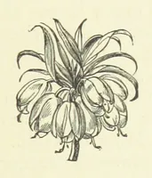 An illustration from Her Majesty's Tower. ... Seventh edition, etc (1885)