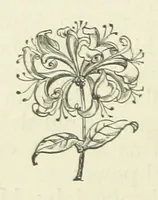 An illustration from Her Majesty's Tower. ... Seventh edition, etc (1885)
