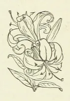 An illustration from Her Majesty's Tower. ... Seventh edition, etc (1885)