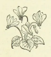 An illustration from Her Majesty's Tower. ... Seventh edition, etc (1885)