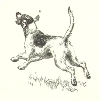 An illustration from Coridon's Song and other verses from various sources. With illustrations by Hugh Thomson ... With an introduction by Austin Dobson. L.P (1894)