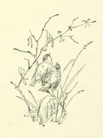 An illustration from Don. By the author of “Laddie” [i.e. Evelyn Whitaker], etc (1895)