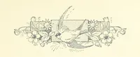 An illustration from Don. By the author of “Laddie” [i.e. Evelyn Whitaker], etc (1895)