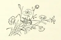 An illustration from Don. By the author of “Laddie” [i.e. Evelyn Whitaker], etc (1895)
