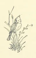 An illustration from Don. By the author of “Laddie” [i.e. Evelyn Whitaker], etc (1895)
