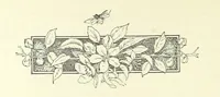 An illustration from Don. By the author of “Laddie” [i.e. Evelyn Whitaker], etc (1895)