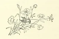 Picture 37 of 41 from Don. By the author of “Laddie” [i.e. Evelyn Whitaker], etc (1895), leaf 354