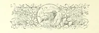 Picture 39 of 41 from Don. By the author of “Laddie” [i.e. Evelyn Whitaker], etc (1895), leaf 366