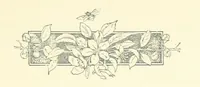 An illustration from Don. By the author of “Laddie” [i.e. Evelyn Whitaker], etc (1895)