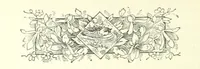 Picture 5 of 41 from Don. By the author of “Laddie” [i.e. Evelyn Whitaker], etc (1895), leaf 38