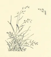 Picture 6 of 41 from Don. By the author of “Laddie” [i.e. Evelyn Whitaker], etc (1895), leaf 49