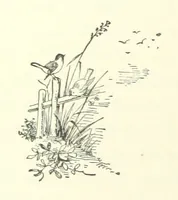 An illustration from Don. By the author of “Laddie” [i.e. Evelyn Whitaker], etc (1895)
