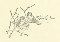 Picture 11 of 41 from Don. By the author of “Laddie” [i.e. Evelyn Whitaker], etc (1895), leaf 77