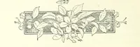 An illustration from Don. By the author of “Laddie” [i.e. Evelyn Whitaker], etc (1895)